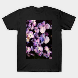 Pink and Purple Hydrangea T-Shirt
